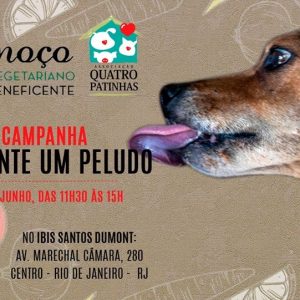 Associação Quatro Patinhas: Ajudar os Animais, comer bem e ser feliz !